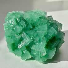 Load image into Gallery viewer, Halite with Paratacamite Inclusions