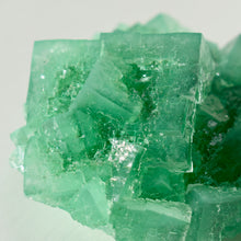 Load image into Gallery viewer, Halite with Paratacamite Inclusions