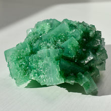 Load image into Gallery viewer, Halite with Paratacamite Inclusions