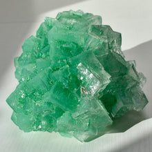 Load image into Gallery viewer, Halite with Paratacamite Inclusions