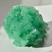 Load image into Gallery viewer, Halite with Paratacamite Inclusions