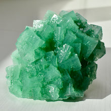 Load image into Gallery viewer, Halite with Paratacamite Inclusions