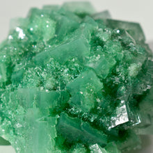 Load image into Gallery viewer, Halite with Paratacamite Inclusions