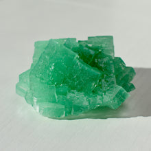 Load image into Gallery viewer, Halite with Paratacamite Inclusions