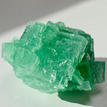 Load image into Gallery viewer, Halite with Paratacamite Inclusion