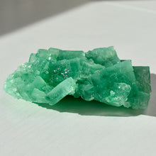 Load image into Gallery viewer, Halite with Paratacamite Inclusions