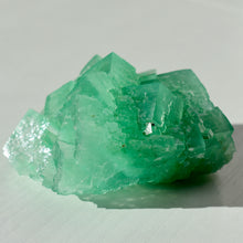 Load image into Gallery viewer, Halite with Paratacamite Inclusions