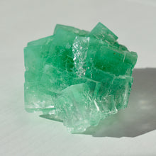 Load image into Gallery viewer, Halite with Paratacamite Inclusions