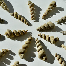 Load image into Gallery viewer, Turritella Fossil