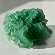 Load image into Gallery viewer, Halite with Paratacamite Inclusions