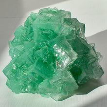 Load image into Gallery viewer, Halite with Paratacamite Inclusions