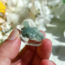 Load image into Gallery viewer, Fluorapophyllite coated Prehnite