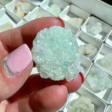 Load image into Gallery viewer, Apophyllite Crystals