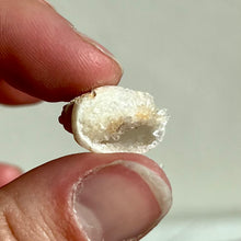 Load image into Gallery viewer, Spiralite Gemshells