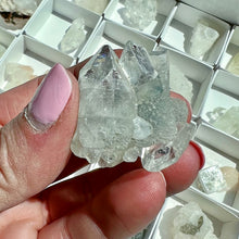 Load image into Gallery viewer, Apophyllite Crystals