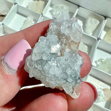 Load image into Gallery viewer, Apophyllite Crystals