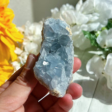 Load image into Gallery viewer, Celestite Geode