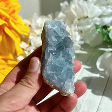 Load image into Gallery viewer, Celestite Geode