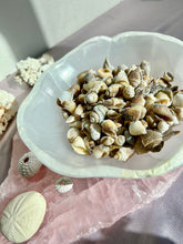 Load image into Gallery viewer, Spiralite Gemshells