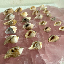 Load image into Gallery viewer, Spiralite Gemshells