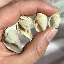 Load image into Gallery viewer, Spiralite Gemshells