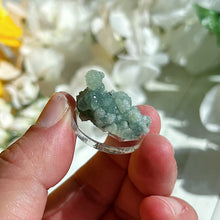 Load image into Gallery viewer, Fluorapophyllite coated Prehnite