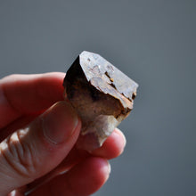 Load image into Gallery viewer, Auralite 23