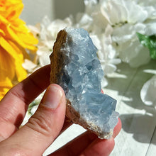 Load image into Gallery viewer, Celestite Geode