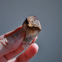 Load image into Gallery viewer, Auralite 23