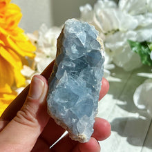 Load image into Gallery viewer, Celestite Geode