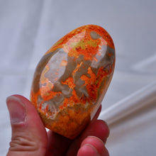 Load image into Gallery viewer, Bumblebee Jasper Freeform