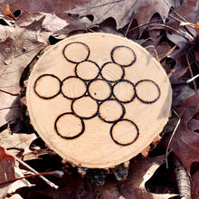 Load image into Gallery viewer, Fruit of Life Crystal Grid