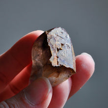 Load image into Gallery viewer, Auralite 23