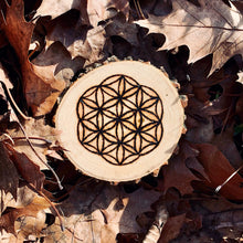 Load image into Gallery viewer, Flower Of Life Crystal Grid