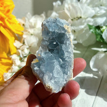 Load image into Gallery viewer, Celestite Geode