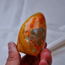 Load image into Gallery viewer, Bumblebee Jasper Freeform