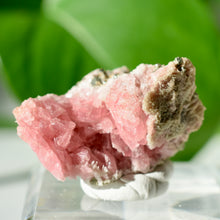 Load image into Gallery viewer, Rhodochrosite with Quartz and Pyrite
