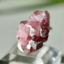 Load image into Gallery viewer, Tourmaline var. Rubellite
