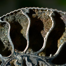 Load image into Gallery viewer, Pyritized Ammonite
