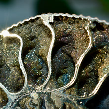 Load image into Gallery viewer, Pyritized Ammonite
