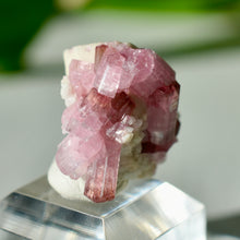 Load image into Gallery viewer, Tourmaline var. Rubellite
