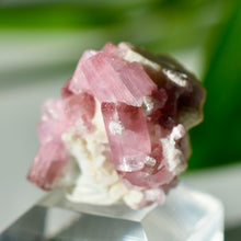 Load image into Gallery viewer, Tourmaline var. Rubellite

