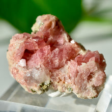 Load image into Gallery viewer, Rhodochrosite with Quartz and Pyrite
