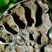 Load image into Gallery viewer, Pyritized Ammonite
