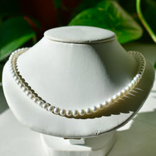 Load image into Gallery viewer, Pearl Necklace
