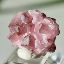 Load image into Gallery viewer, Tourmaline var. Rubellite
