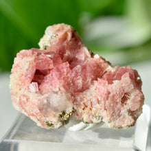 Load image into Gallery viewer, Rhodochrosite with Quartz and Pyrite
