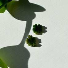 Load image into Gallery viewer, Canadian Nephrite Jade Four Leaf Clover or Lucky Charm
