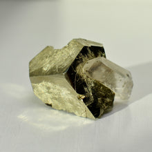 Load image into Gallery viewer, Pyrite with Quartz from Spruce Ridge, Washington
