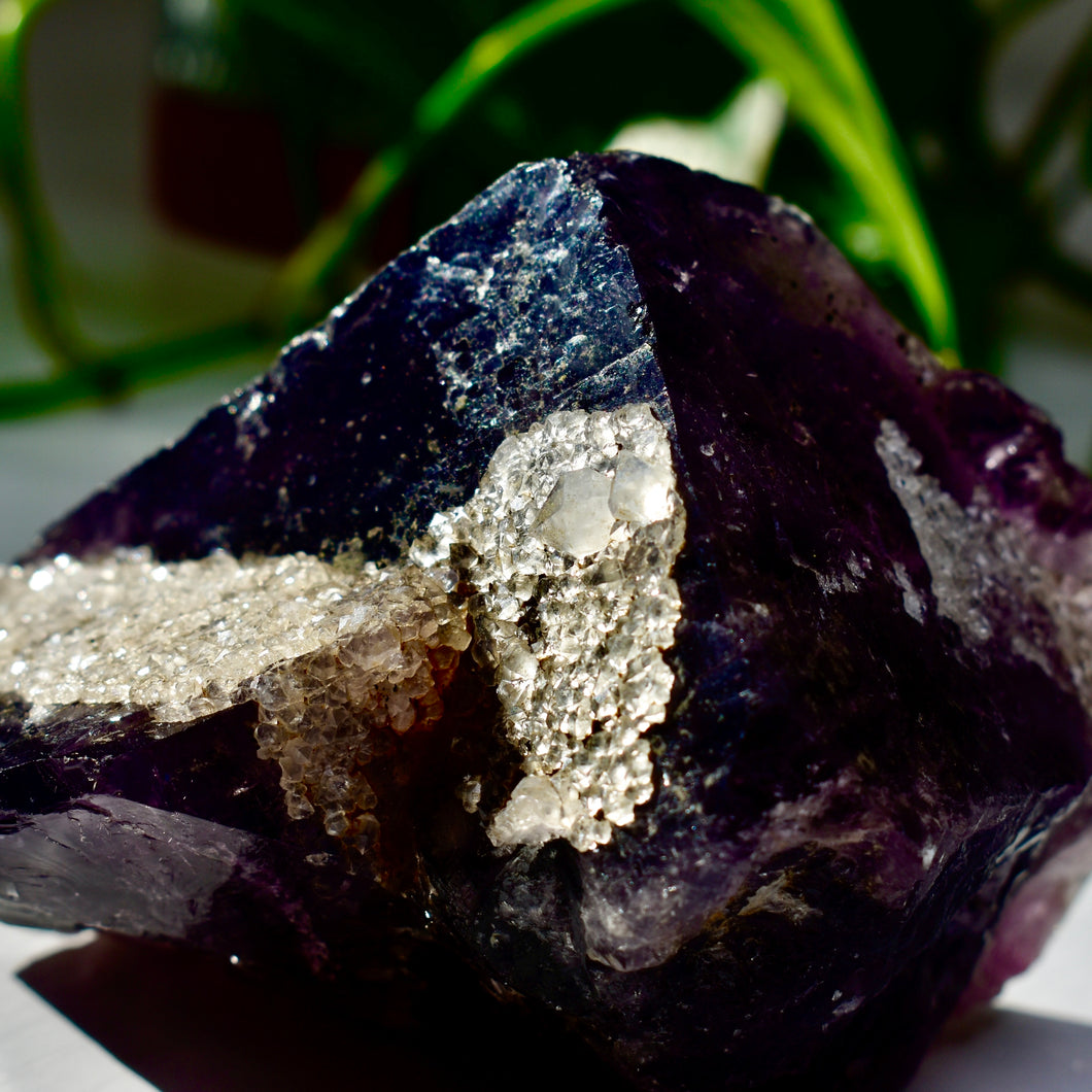 Live Sale: notsoclevergirl